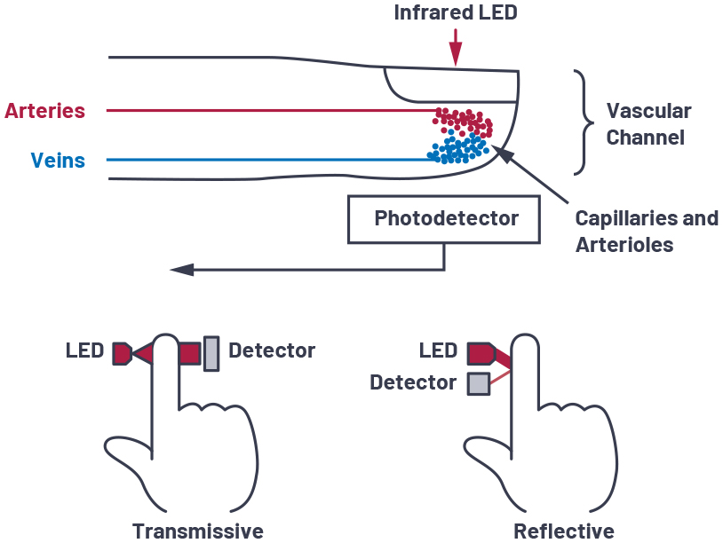 Illustration of Pulse Oximetry Principle using Red and IR Light